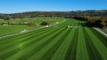 4turf® proves a firm favourite for horse racing